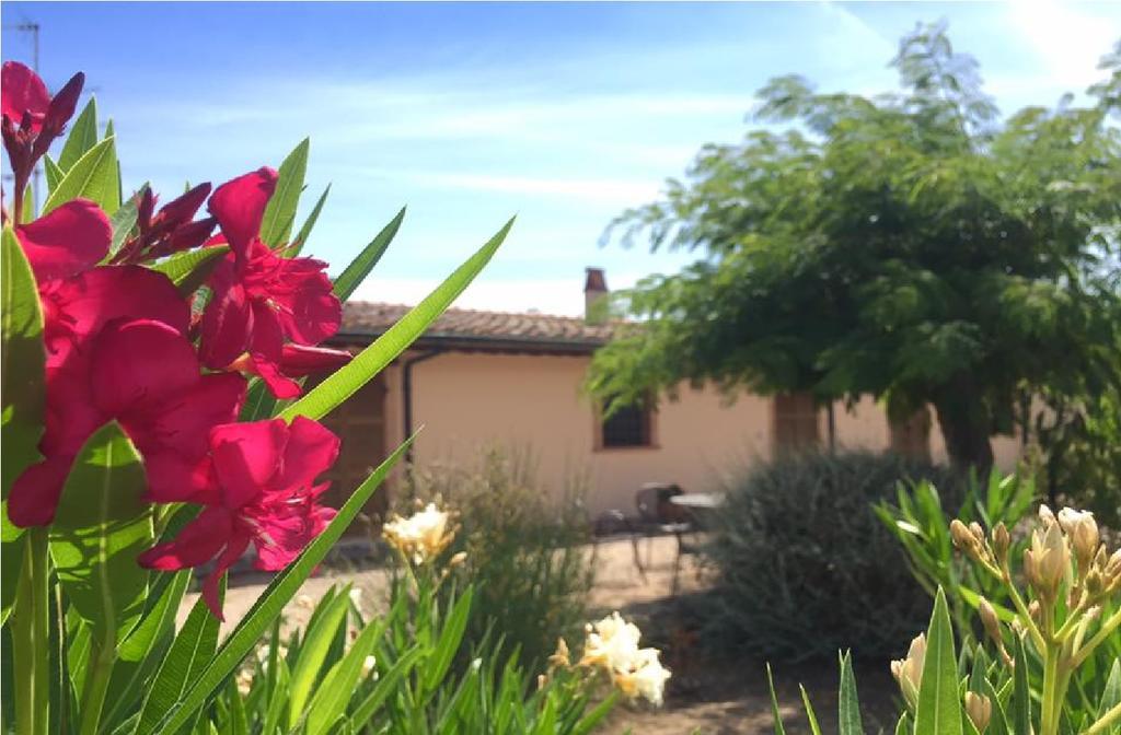 Bio Agriturismo Le Cascatelle Saturnia Ngoại thất bức ảnh